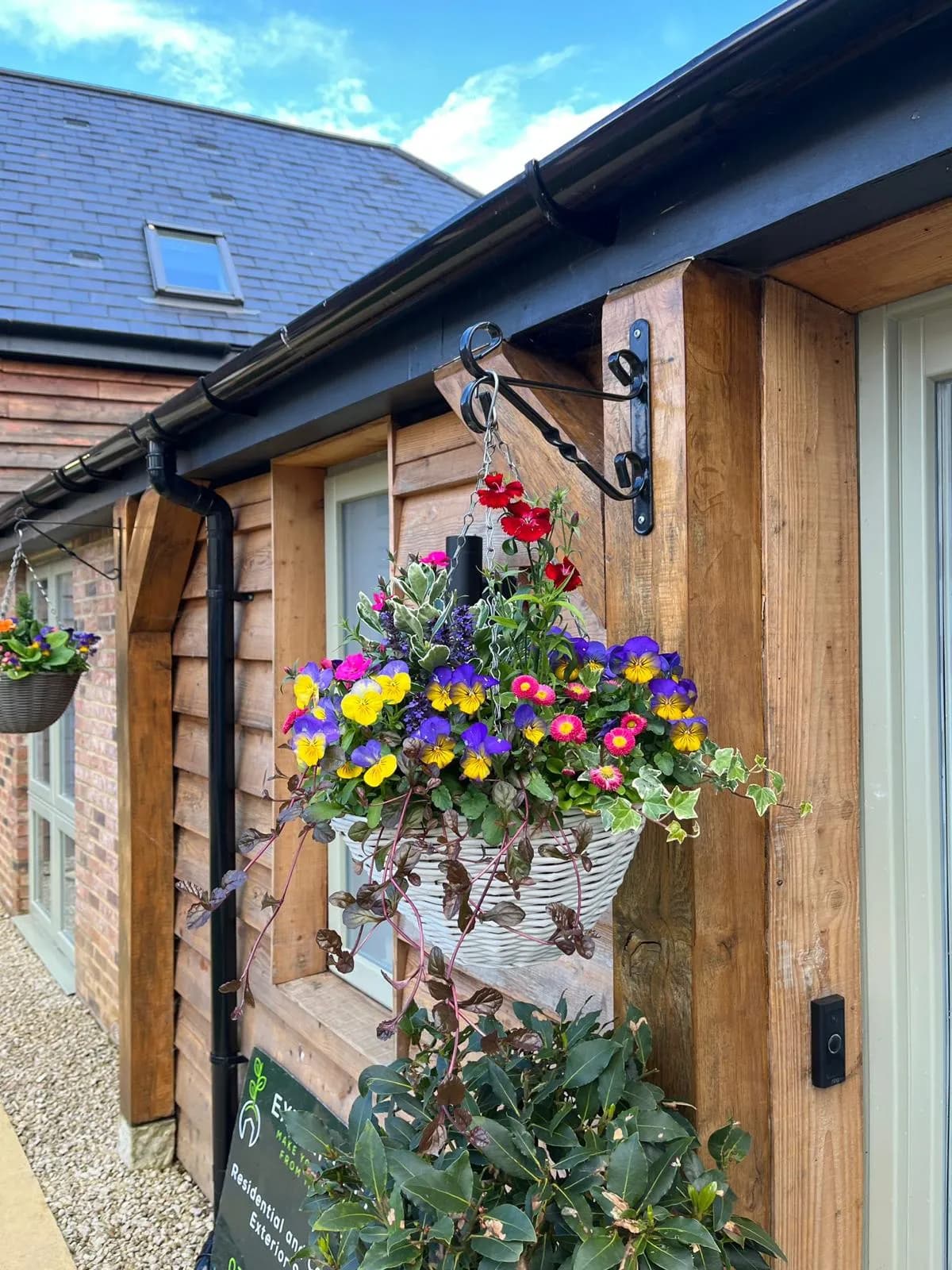 Seasonal hanging basket bursting with violas, dianthus and trailing ivy
